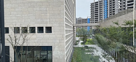 Встречи с китайскими коллегами фото галереи 42